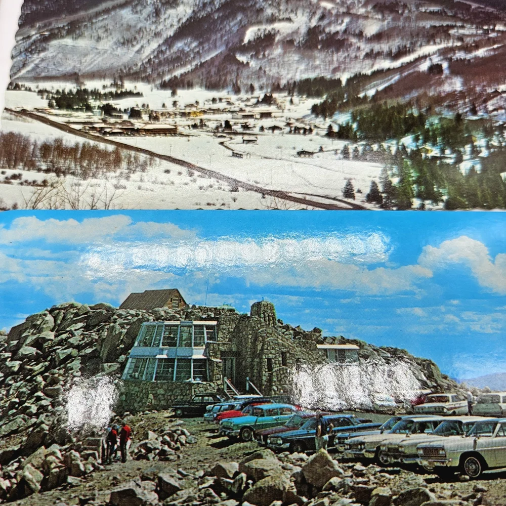 📬 Lot of 11 Various Vintage Unused Postcards Colorado USA